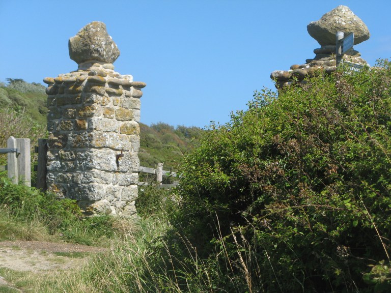 Spinfish April + 131