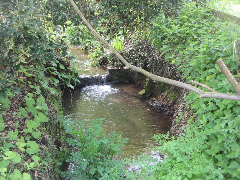 Spinfish May 2014 006