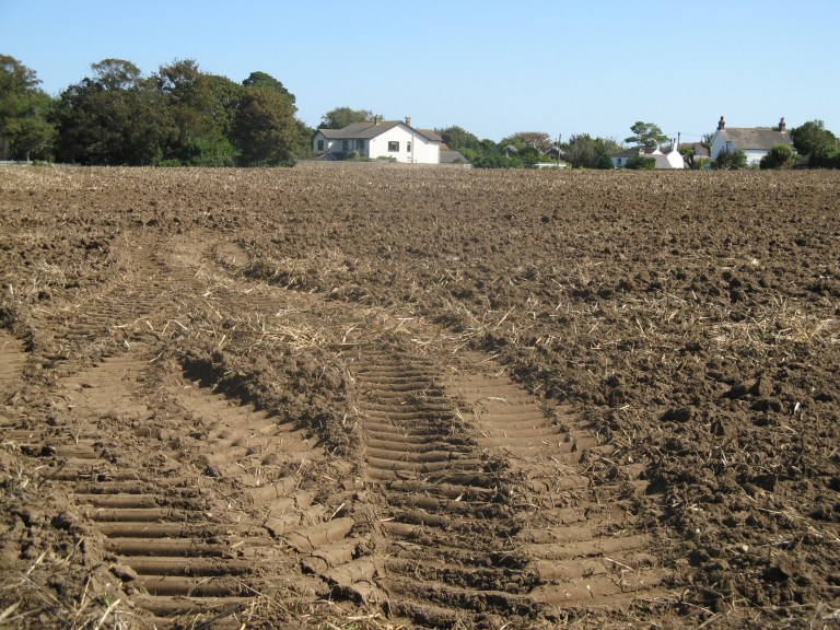 warren-gaila-ahop-and-misc-006